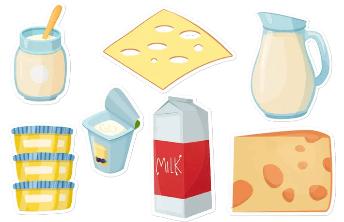 Dairy products in Dukan's diet