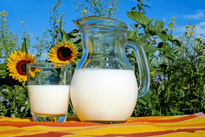 Milk is a staple of Dukan's diet